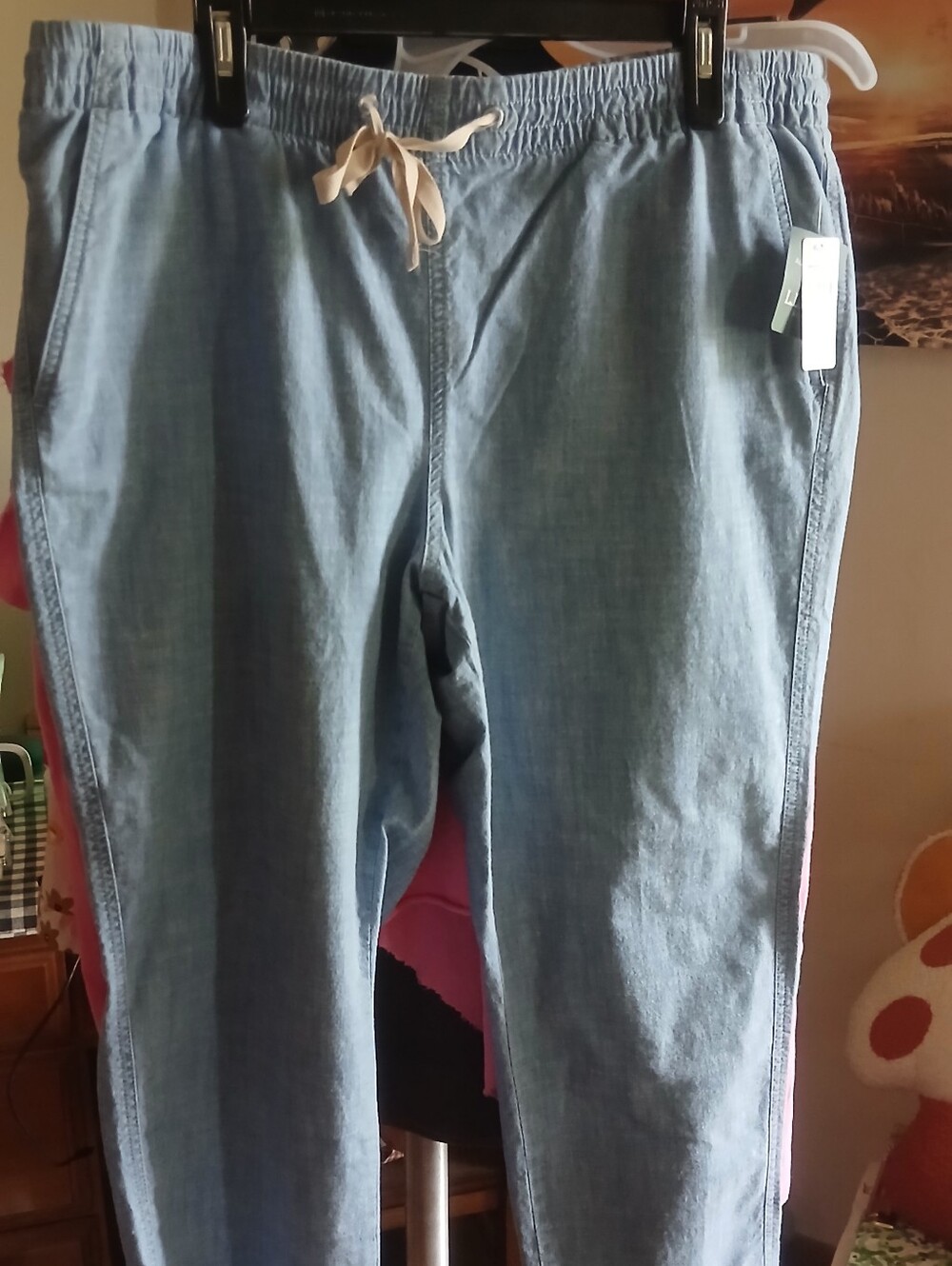 L.L. Bean Chambray Women's Pants in Light Blue